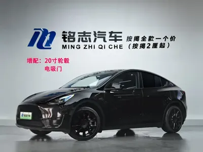 Tesla Model Y · 2023 год