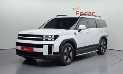 Hyundai Santafe · 2024 год