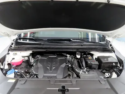 Kia Canival 2023, 44199 км, за 30900000 KRW - фото 6
