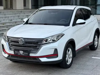Fengguang Fengguang 500 · 2021 год