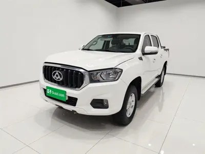 大通 T60 · 2019 год
