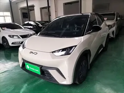 BYD Seagull · 2025 год