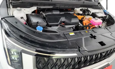 Kia Canival 2025, 52669 км, за 45500000 KRW - фото 6