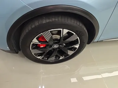 BYD Tang New Energy 2024, 42500 км, за 158480.28 CNY - фото 8