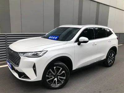 Haval H6 · 2022 год