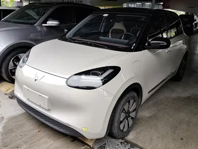 Wuling Bingo · 2024 год