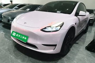 Tesla Model Y · 2023 год