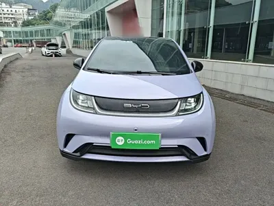 BYD Dolphin 2023, 76500 км, за 60400 CNY
