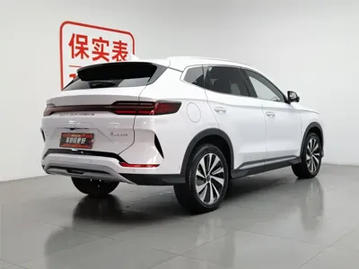 BYD PLUS New Energy 2024, 29000 км, за 108800 CNY