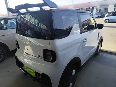 Geely Galaxy Panda 2025, 600 км, за 50895.76 CNY - фото 6