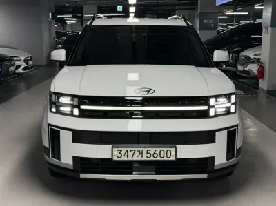 Hyundai Santafe · 2024 год