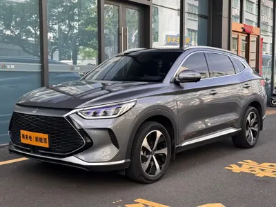 BYD PLUS New Energy · 2021 год