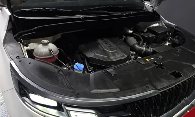 Kia Canival 2021, 125243 км, за 24500000 KRW - фото 6