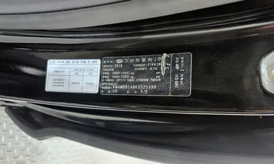 Kia Canival 2019, 60165 км, за 13900000 KRW - фото 35