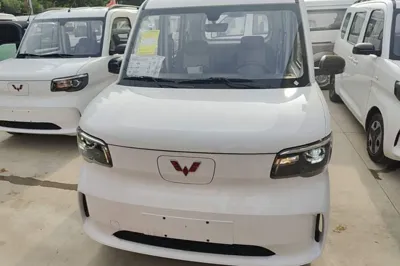Wuling Zhiguang New Energy 2025, 100 км, за 62031.47 CNY