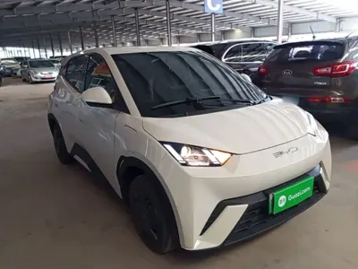 BYD Seagull 2023, 36100 км, за 44000 CNY
