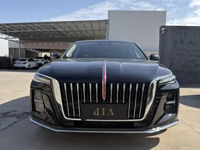 Hongqi Hongqi H5 2024, 25000 км, за 91500 CNY