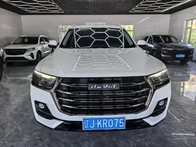 Haval H6 · 2022 год