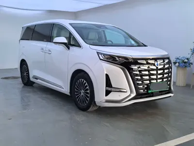 Denza Denza D9 2024, 49200 км, за 209800 CNY