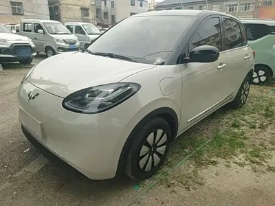 Wuling Bingo · 2023 год