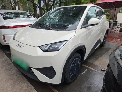 BYD Seagull · 2026 год
