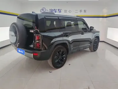 Haval Menglong New Energy 2024, 47600 км, за 123800 CNY