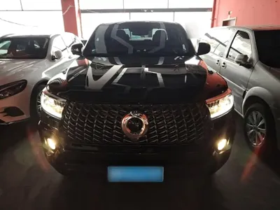 Great Wall Pao 2024, 15000 км, за 97000 CNY