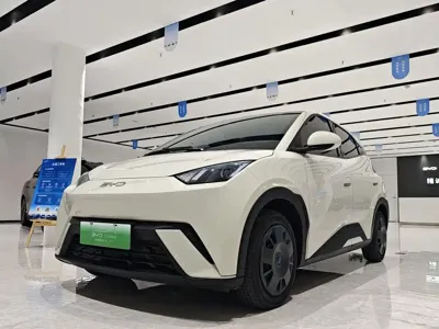 BYD Seagull · 2024 год