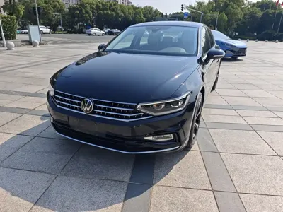 Volkswagen Magotan · 2024 год