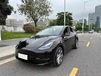Tesla Model Y · 2021 год