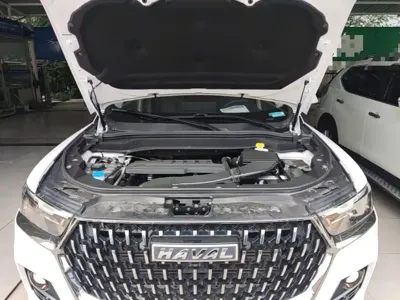 Haval H6 2024, 46900 км, за 64400 CNY - фото 20