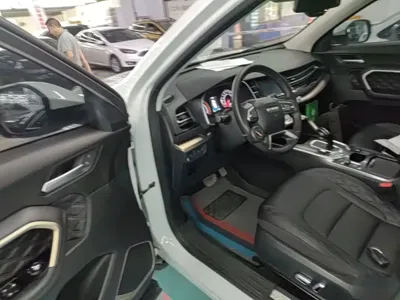 Haval H6 2021, 69000 км, за 46700 CNY - фото 16