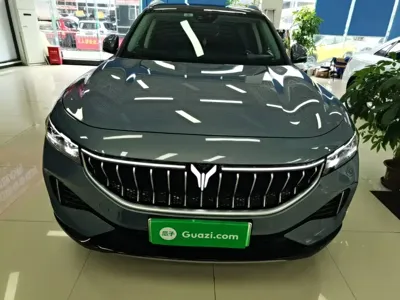 Voyah Free 2022, 65100 км, за 87899 CNY