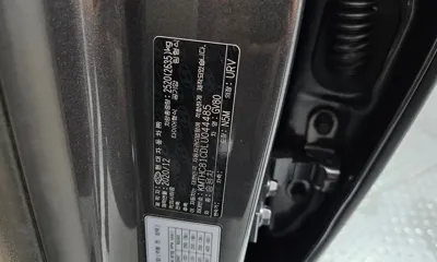 Genesis GV80 2020, 107761 км, за 36000000 KRW - фото 28