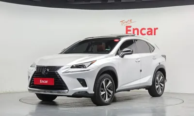 Lexus NX · 2019 год