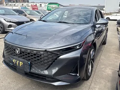 Changan Ruicheng PLUS · 2022 год