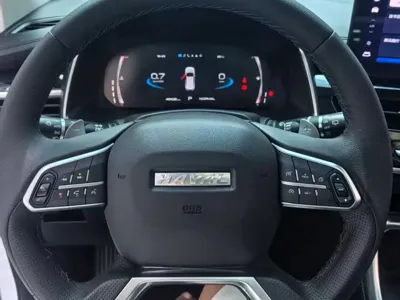 Haval H6 2021, 46000 км, за 72800 CNY - фото 11