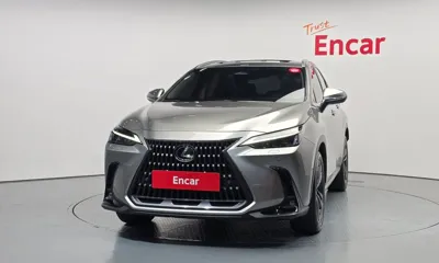 Lexus NX 2024, 31487 км, за 52800000 KRW