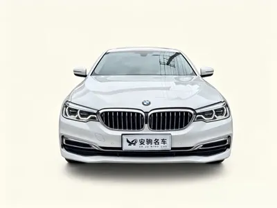 BMW 5 Series 2020, 92000 км, за 148000 CNY