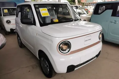 Geely Galaxy Panda 2024, 100 км, за 49679.56 CNY