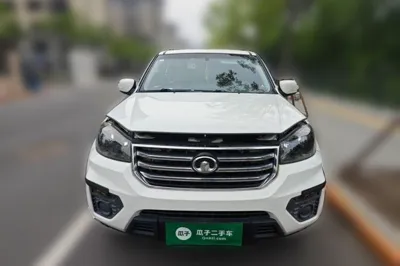 Great Wall Wingle 5 2017, 58600 км, за 38251.52 CNY