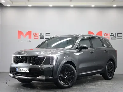 Kia Sorento · 2024 год