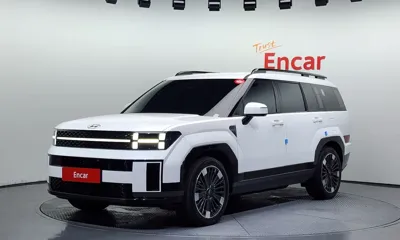 Hyundai Santafe · 2024 год