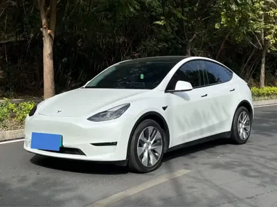 Tesla Model Y · 2021 год