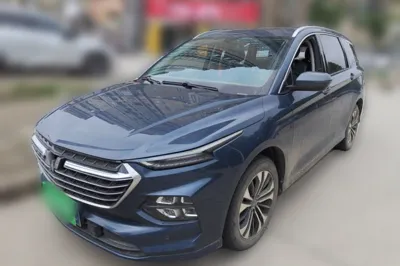 Wuling Victory · 2020 год