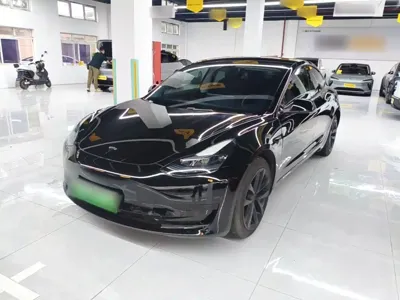 Tesla Model 3 · 2022 год