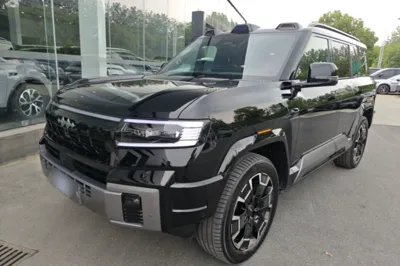 Formula Leopard Leopard 8 · 2025 год