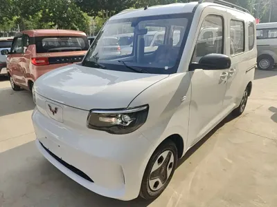 Wuling Zhiguang EV · 2026 год