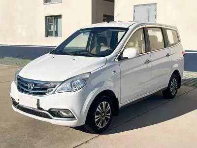 BAW Weiwang M20 · 2016 год