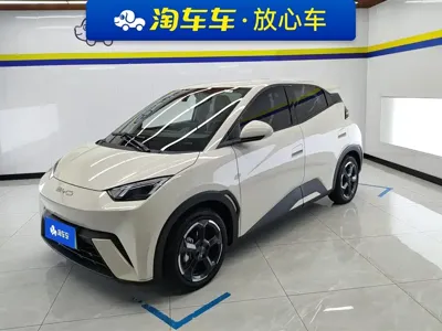 BYD Seagull · 2024 год